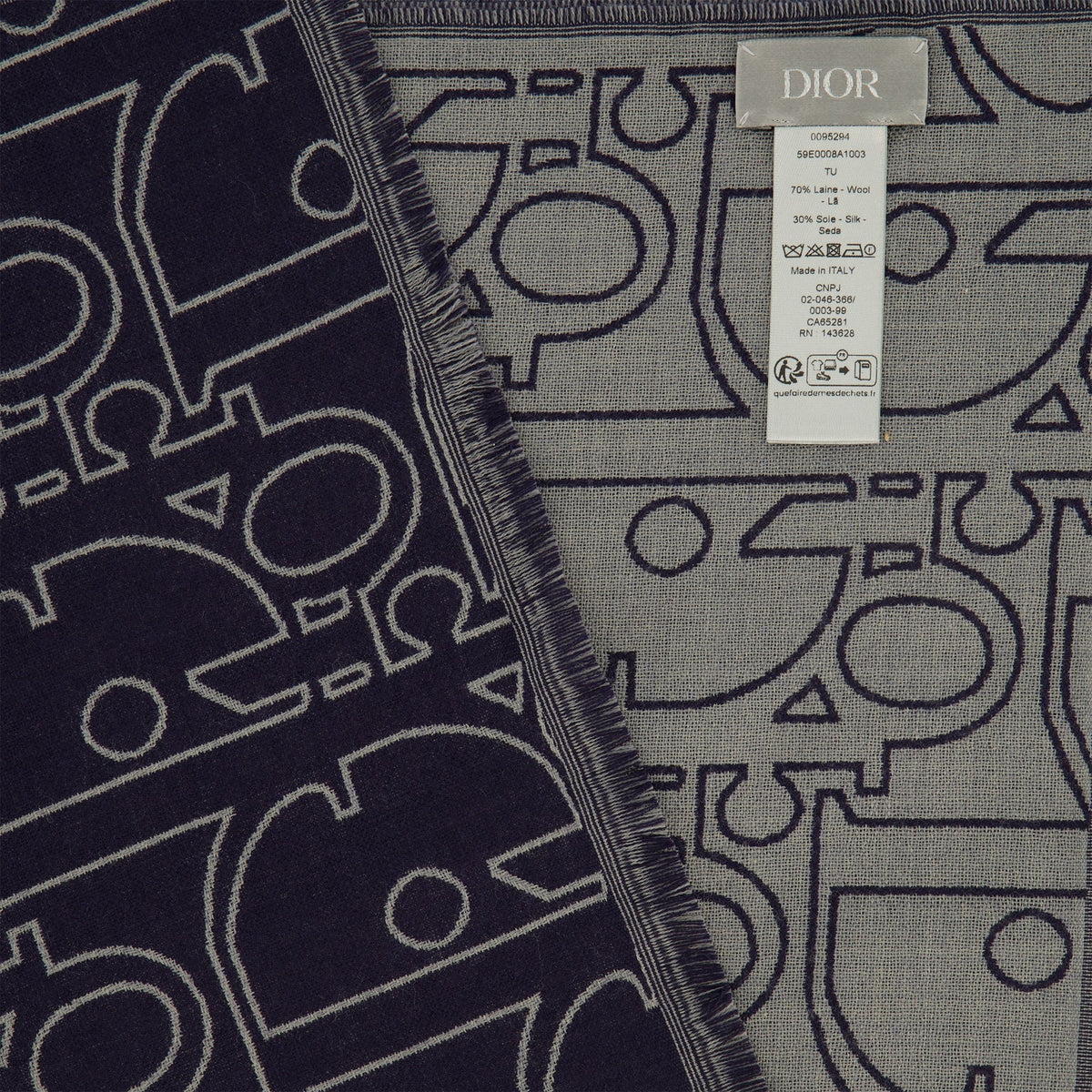 Dior Gravity Gradient Scarf
