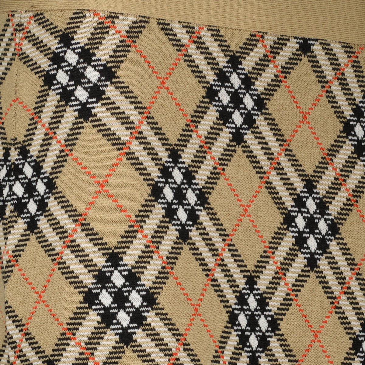 Check Plaid Skirt