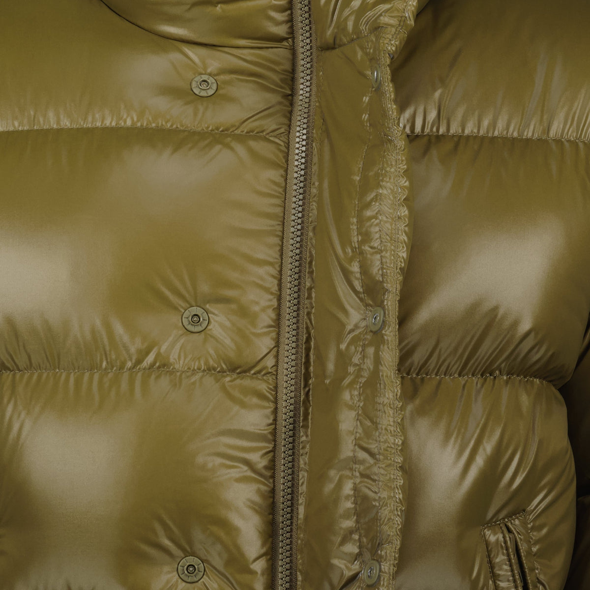 Tripiti Down Jacket